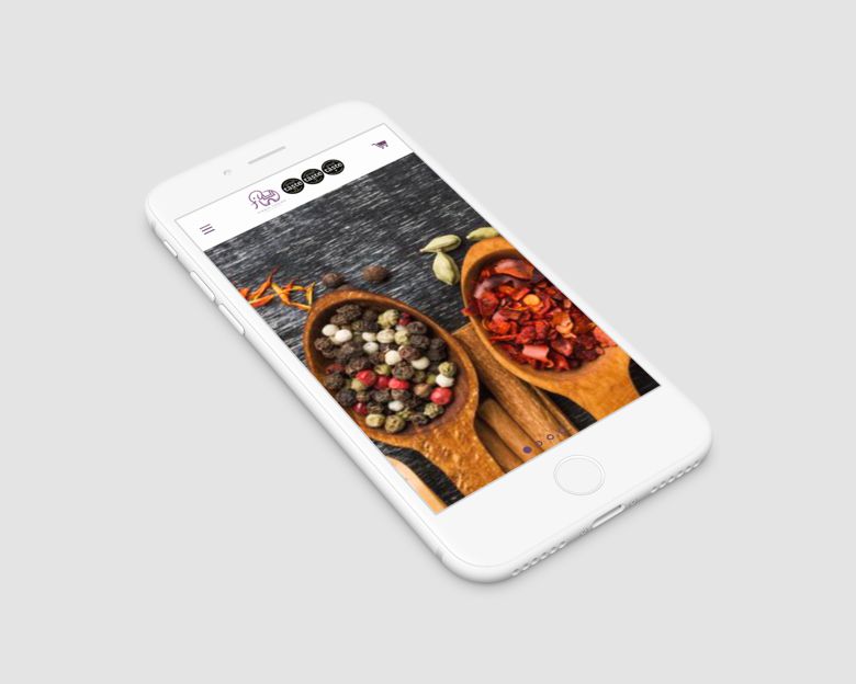 Website design -Ethnic fusion website