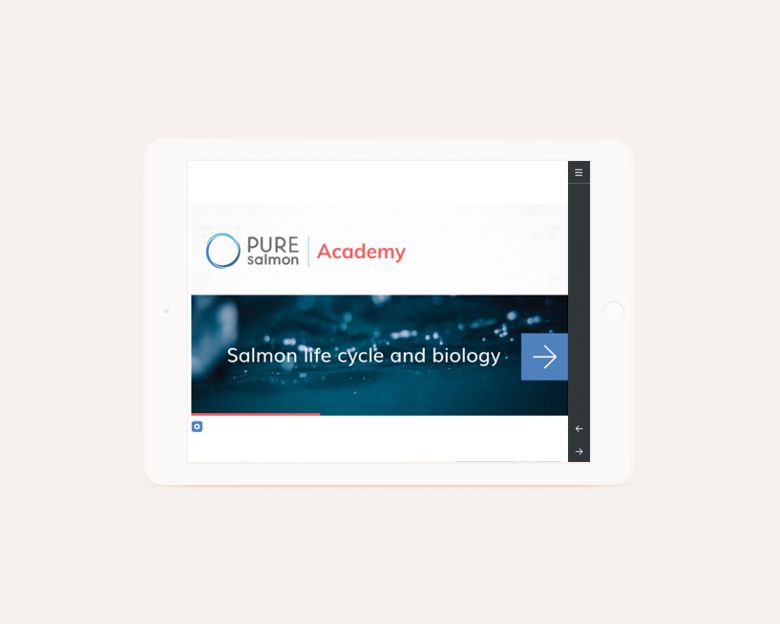 elearning design - Pure Salmon