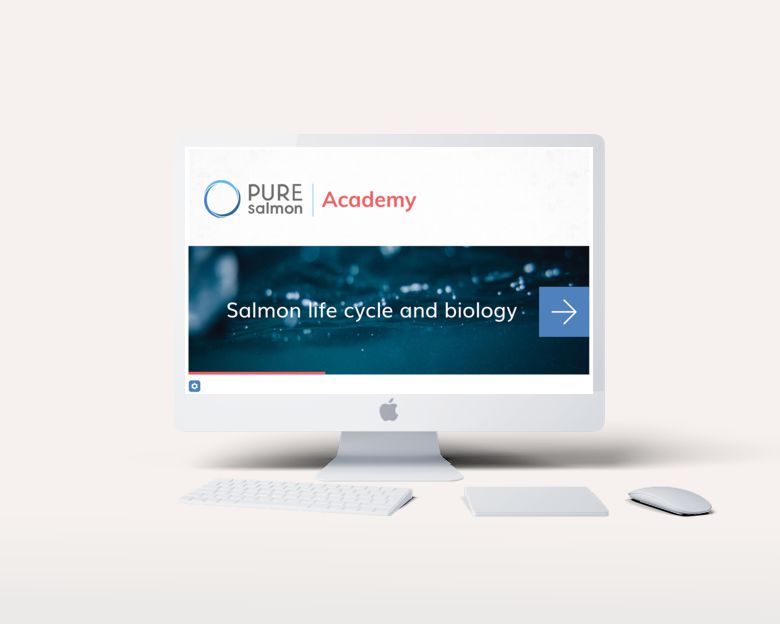 Pure Salmon elearning - desktop view