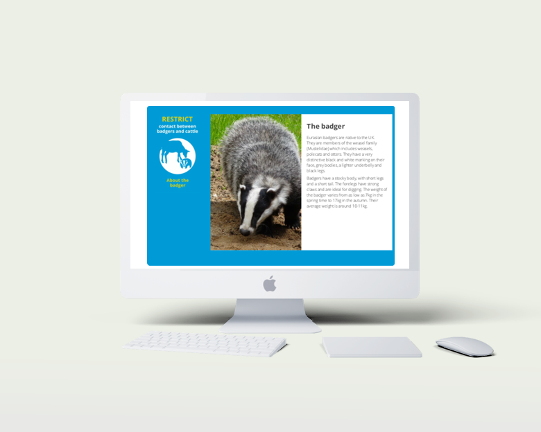 Kingfisher elearning - desktop view