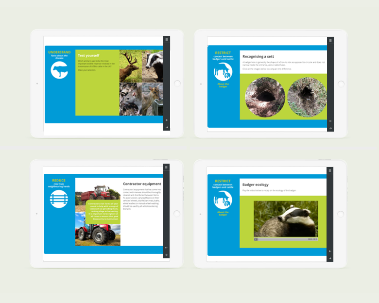 DEFRA BTB Biosecurity elearning design - tablet view